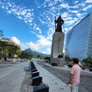 정부청사행정사사무소 이미지