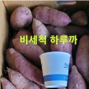 햇 하루까"숙성.밤고구마 판매 이미지