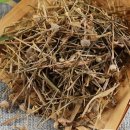 곡정초등학교 이미지