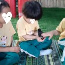 정곡농장 이미지