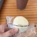 화이트하우스 | 철원 분위기 좋은 카페 [인경 화이트하우스] 후기