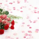 요즘 세대 졸업식 진풍경 이미지