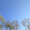 마치산공원 이미지