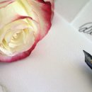 참결혼정보 이미지