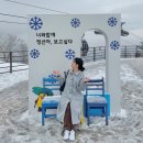 가리왕산목장 | 정선 가리왕산 케이블카 예약 요금 할인 강원도 정선 가볼만한 곳