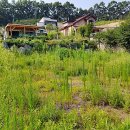 개군보건지소 이미지