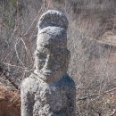 봉일지물
