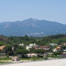 부자막국수 이미지