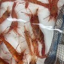 독도회식당 이미지