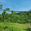 농기계 임대사업소 중부지점 이미지