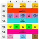 닥터짐
