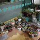 중구청 메리놀병원 이미지