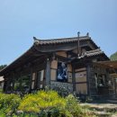 보리, 愛 | [보성체험]보성愛 물들茶-맛있는 녹차 체험