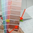 조색실리콘 현장 대공개ㅣ(주)대*건업 발주ㅣ조색실리콘 천삼광