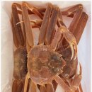 당신대게 이미지