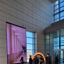 알파존 | 알파블럭스 뮤지컬 후기 아이와 함께 본 어린이 영어 뮤지컬 솔직 관람기