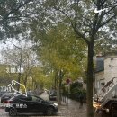 보이다 | [2025] 파리,빛이 보이다!