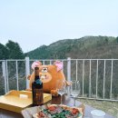 연화도감 이미지