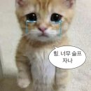 베스트웨이 이미지