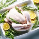 일승농장 이미지