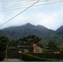 사람들과 자동차 이미지