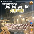 용호로-1 | [창원카페/용호동] 가로수길 디저트 맛집 시도때도 방문 후기 (내돈내산,애견동반카페)