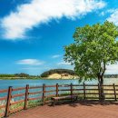 왕숙천둔치공원(무대광장) | "양양 10경 중 최고" 남대천 벚꽃축제, 4월 4일~5일 단 이틀간 개최