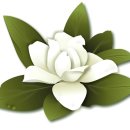 제이수공인중개사사무소 이미지