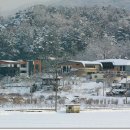 큰빛자연생태어린이집 이미지