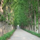 (주)자연과자원 이미지