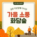 명서다리 앞 버스정류소 | 25년 11월 17일 화담숲 관람 후기