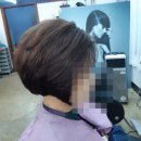 JJ헤어칼라