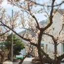 왕산권역마을 이미지