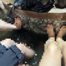 지에스25(GS25)우송대미소점 이미지