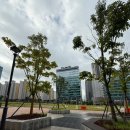 역전할머니맥주인계점 이미지