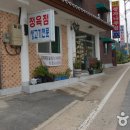 정자나무가든 티스토리
