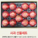 팜스팜 이미지