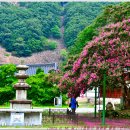 [2025. 8. 10. 일.]-[비-해. 25℃~26℃, 05:39~19:18]-[PUSU-] 이미지