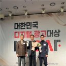 콜즈다이나믹스