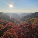 보은 이미지