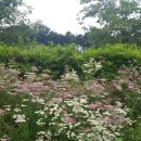 시흥약국 이미지