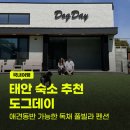 백사장펜션 | 이곳 어때요? 태안 숙소 추천 수영장 있는 애견동반 독채 펜션 '도그데이 B동' 가격 및 1박2일 후기