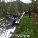 지품면사무소 이미지