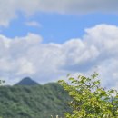 취적농장 이미지