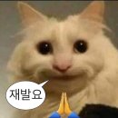 세희스킨케어 | 4월에서 멈춰버린 일상 ᔦ๑ ˭̴̵̶́ ꄱ ˭̴̵̶̀ ᔨ🎤✨