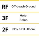 스테이영 애견학교 이미지