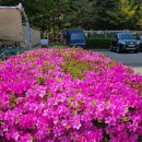 그린빌6단지경로당 이미지