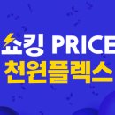 천플렉스 이미지