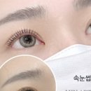 브로우아트 - 서구 둔산로230번길 23 | 브로우아트
