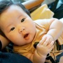 호호컴퍼니 이미지